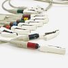 HEWLET PACKARD M2461A 10 Lead EKG Cable