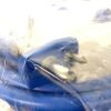DATEX-OHMEDA 0231-1521-811 HOSE/ASSY