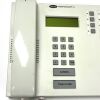 RAULAND Model NCLCD Telephones