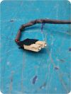 GE Medical Systems 2270465  Cardiac Digital Detector