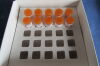 STERIS Ref: LCB044 Celerity 20 HP Biological Indicator, 10 Count, Exp. 12/2019