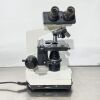 SEILER 9820241 Westlab Microscope w/ 4 Objectives Microscope