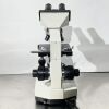 SEILER 9820241 Westlab Microscope w/ 4 Objectives Microscope
