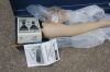 NASCO Life/form Auscultation Adult Venipuncture and Injection Training Arm apr23 #L Training Aids