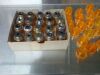 AMERICAN OPTICAL LENS AMERICAN OPTICAL SPENCER MICROSCOPE LENS ASSORTMENT