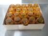 AMERICAN OPTICAL LENS AMERICAN OPTICAL SPENCER MICROSCOPE LENS ASSORTMENT