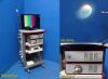 RICHARD WOLF 2010 R. Wolf 5512 Endocam  Endoscopy Tower W/ CCU,Light Source,Printer,Cart