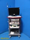 RICHARD WOLF 2010 R. Wolf 5512 Endocam  Endoscopy Tower W/ CCU,Light Source,Printer,Cart