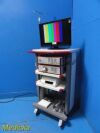 RICHARD WOLF 2010 R. Wolf 5512 Endocam  Endoscopy Tower W/ CCU,Light Source,Printer,Cart