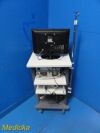 RICHARD WOLF 2010 R. Wolf 5512 Endocam  Endoscopy Tower W/ CCU,Light Source,Printer,Cart