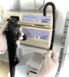 OLYMPUS GIF-Q180 Gastroscope