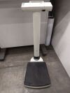 SECA 703 Scale