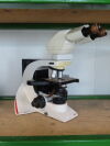 LEICA DM 2000 Microscope