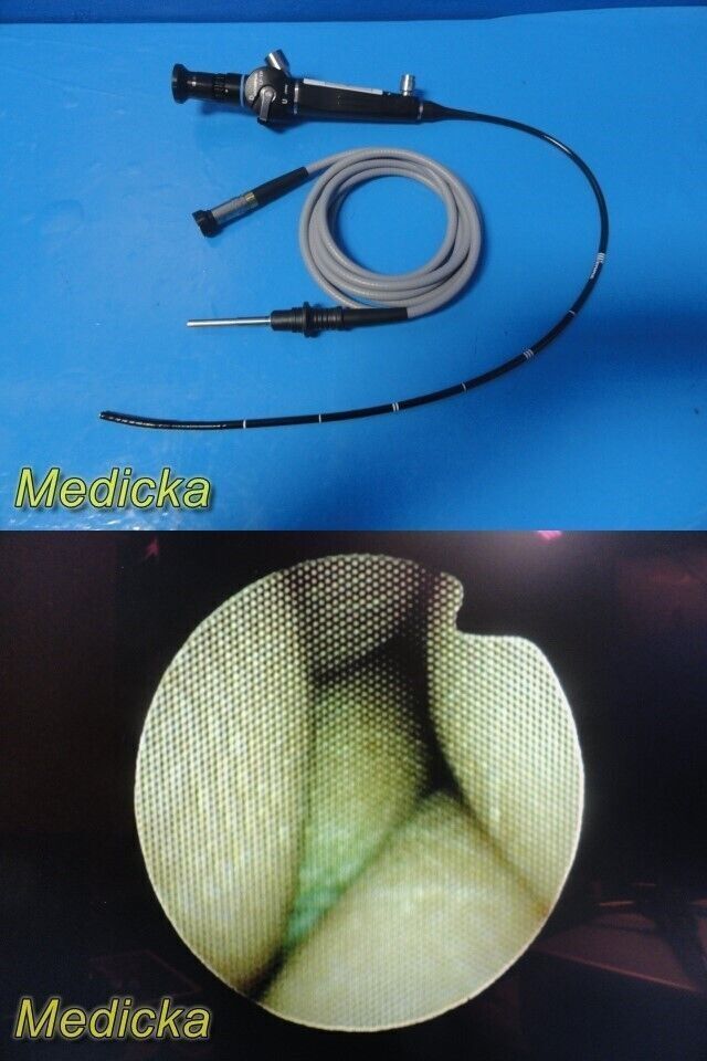 OLYMPUS LF-TP Tracheal Intubation Fiber Scope W/ A3293 F/O Light Guide