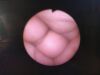 OLYMPUS CYF-5A Cystoscope