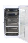 THERMO SCIENTIFIC JOUAN INNOVENS 234 EB1 CAB Incubator