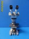 AMERICAN OPTICAL 1031 Spencer Binocular Microscope