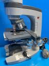 AMERICAN OPTICAL 1031 Spencer Binocular Microscope