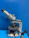 AMERICAN OPTICAL 1031 Spencer Binocular Microscope
