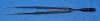 WEXLER FL0700.11 Forceps