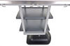 PRAISTECH x Veterinary treatment and surgery Exam Table