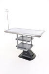PRAISTECH x Veterinary treatment and surgery Exam Table