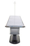PRAISTECH x Veterinary treatment and surgery Exam Table