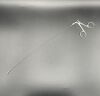 OLYMPUS 00125 FLEXIBLE GRASPING FORCEPS Urological Instrument