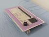 FISCHER IMAGING  53324G, 53323 . Mammo Unit