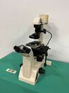 NIKON Diaphot 200 Phase Inverted Contrast Microscope Microscope Binocular