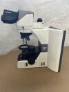 NIKON 80i Microscope