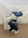 NIKON 80i Microscope