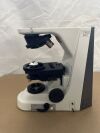 NIKON Eclipse 50i Microscope