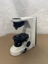 NIKON Eclipse 55i Microscope