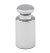 GLOBE Calibration Weight 100g Balance