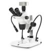 GLOBE SCIENTIFIC Trinocular Stereo Microscope NexiusZoom Evo Microscope