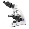 GLOBE SCIENTIFIC BioBlue Binocular Microscope SMP Microscope