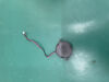 NIHON KOHDEN KPE-141B cardiofaxS ECG-2250 ECG machine louder speaker KPE-141B KINGSTATE ECG unit