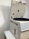 HERAEUS Megafuge 1.0 Centrifuge