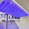 NATUS ( 001103 ) neoBLUE Photapy LED Light Phototherapy Lamp