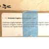 ACUFEX SMITH & NEPHEW REF 72200004 ROTATABLE IRRIGATION EXTENDER WITH INFLOW