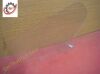 BARTON t4510 Left Side Clear Shield Assy Beds - Misc.