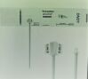 WELCH ALLYN SOFT-11L-1SC Adult (Box of 46) FlexiPort Disposable Blood Pressure Cuff