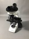 MICROSCOPTICS CxL Binocular Microscope