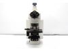 NIKON 90i Microscope