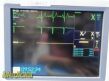 GE Dash 4000 Colored  (Masimo SpO2) W/ NEW Patient Leads ~ Patient Monitor