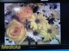 SONY 2014  Olympus LMD3251ST 3D/2D HD Widescreen LCD Monitor