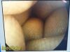 Listing 4687124