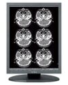 TOTOKU ME253i2 Display Monitor