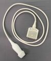 TERASON Echo Ultrasound System with 2 Transducers